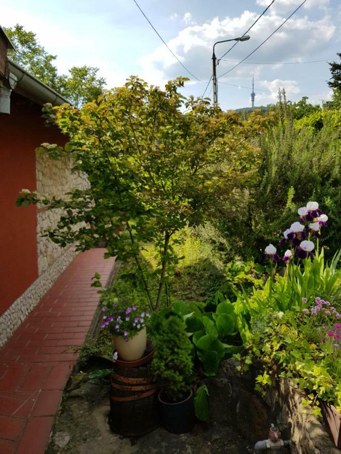 Mediterran Apartman Pětikostelí Exteriér fotografie